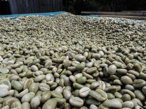 咖啡豆图片下载