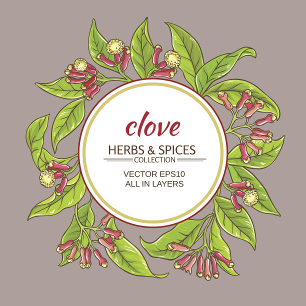 丁香矢量框架图片下载