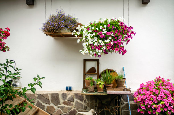 德国Oberstdorf的花盆图片下载