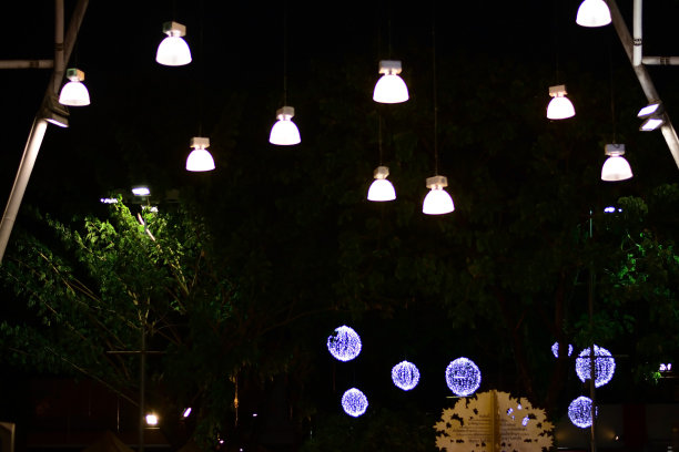 夜晚树上庆祝灯的灯光图片下载