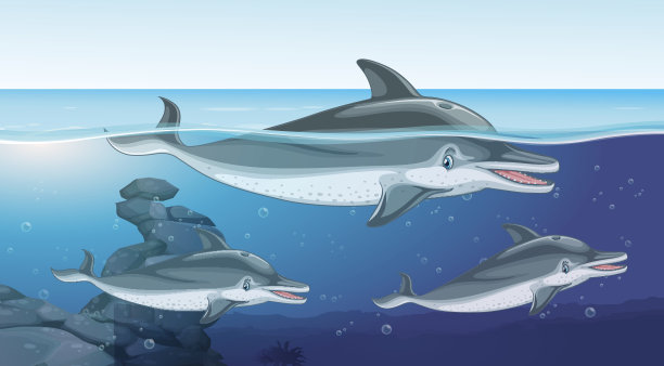 三只海豚在海里游泳图片下载