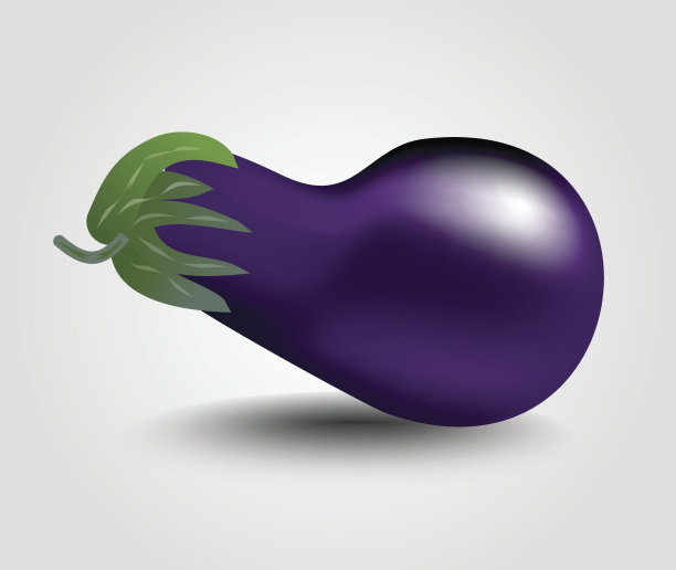 茄子孤立，逼真的茄子矢量插图在白色背景与阴影图片下载