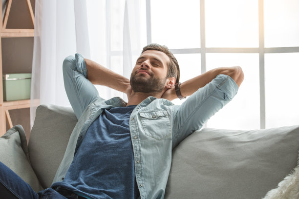 沙发图片素材ID：308116440