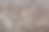 德克萨斯州南部科顿菲尔德的特写图片下载