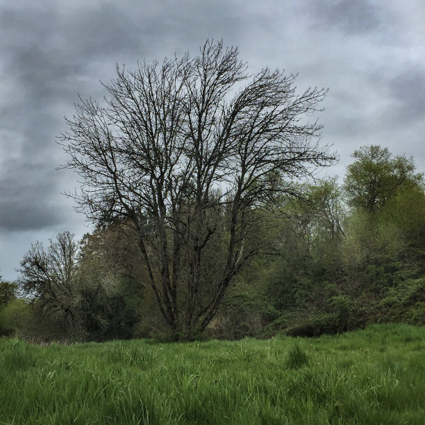 站在保护图片下载