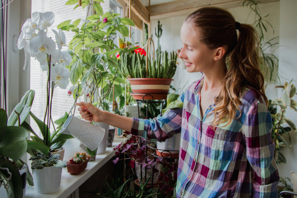 浇花的美女图片下载