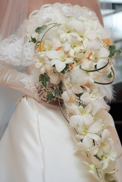 新娘的形象图片下载