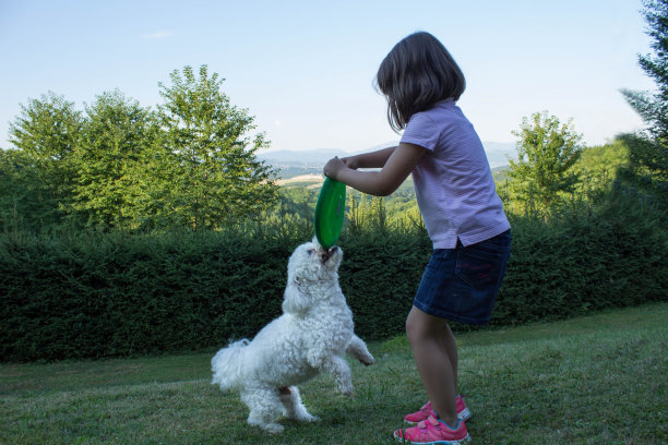 给我吧图片下载