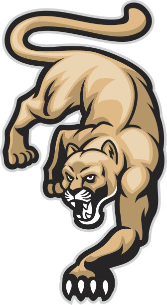 爬行美洲狮图片下载