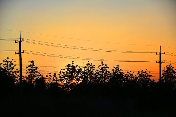 电杆和树木图片下载