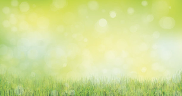 向量的自然背景。图片下载