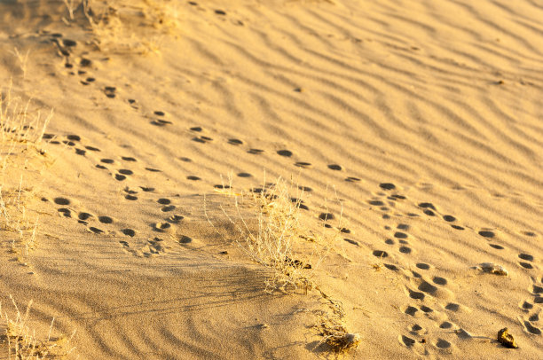 把潮水上的沙子吸走了图片下载