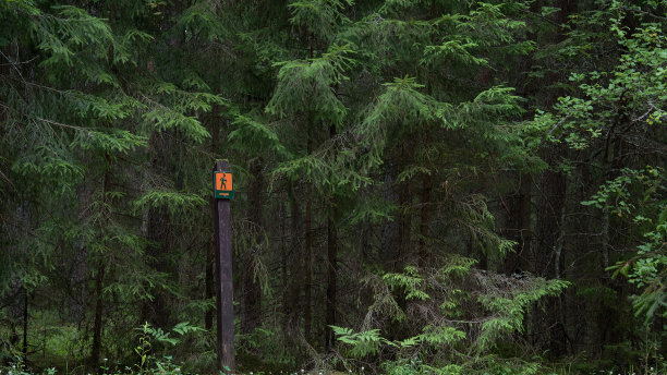 在冷杉林中给徒步旅行者的导游指示牌图片下载