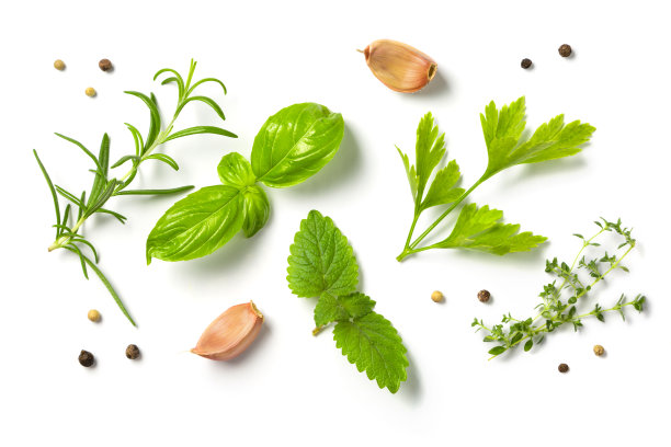 选择草药和香料，分离图片下载