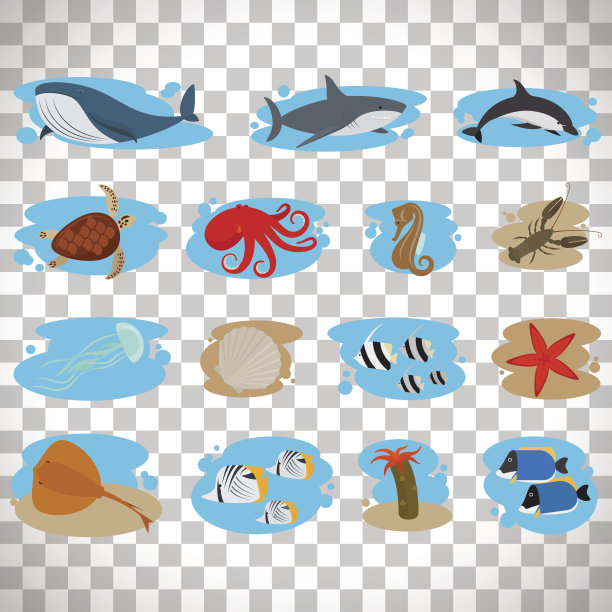 海洋动物设置在透明的背景图片下载
