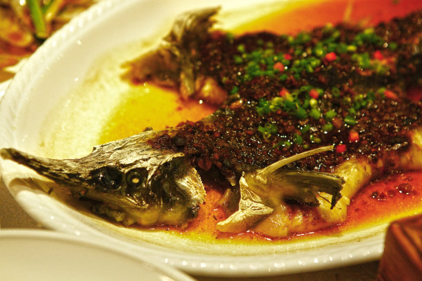 用酱汁装盘的梭鱼图片下载