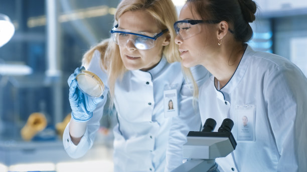 医学研究科学家检查培养皿样本和在显微镜下观察样本。他们在一个现代化的实验室工作。素材图片