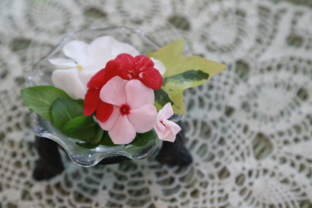 桌上有鲜花装饰图片下载