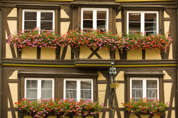 德国符腾堡中世纪古城巴德温普芬的花窗图片下载