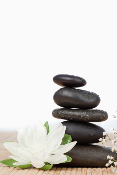 白色的荷花用一块黑色的石头叠着一朵小小的白花素材图片