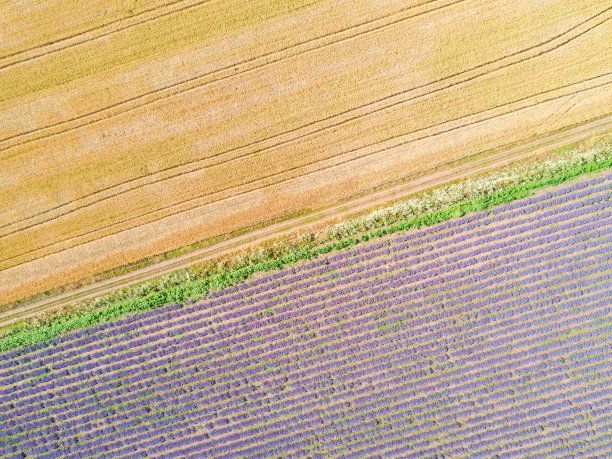 农田鸟瞰图图片下载