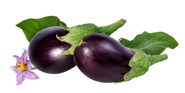茄子孤立于白色图片下载