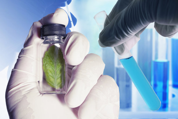 研究绿叶草药图片下载