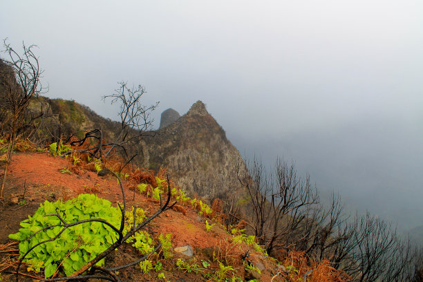 植被在山腰图片下载