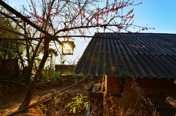 给太阳图片下载