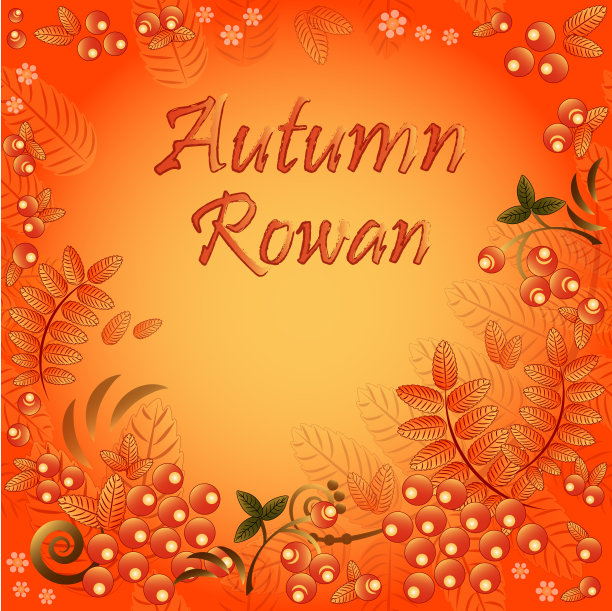 秋天的背景是花楸的叶子和浆果图片下载