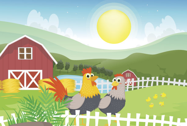 农场里一只公鸡和一只母鸡的插图图片下载