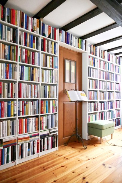 堆满书籍的书架和两部分之间的门图片下载