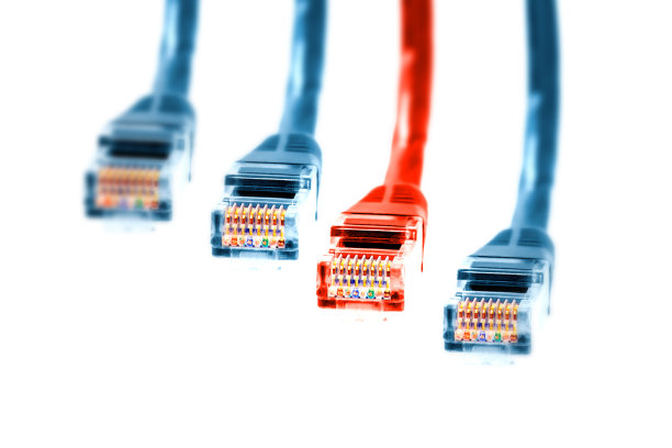 正确选择最快的连接方式——一排白色网线图片下载