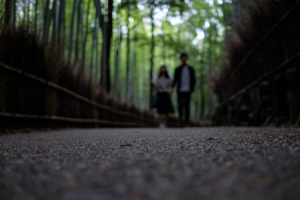 竹林与夫妇的背景图片下载