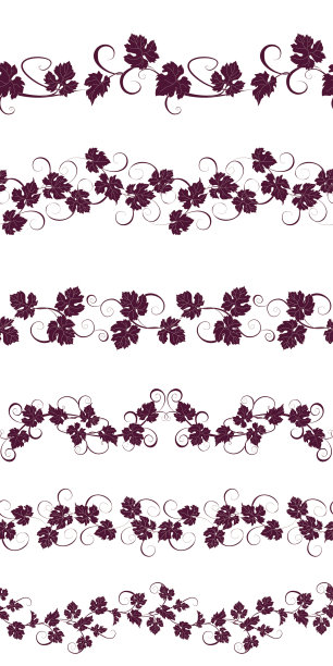 一套无缝的装饰葡萄藤。图片下载