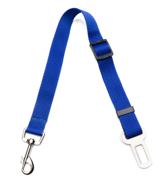 狗安全带图片下载