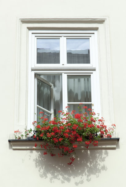窗户用鲜花图片下载