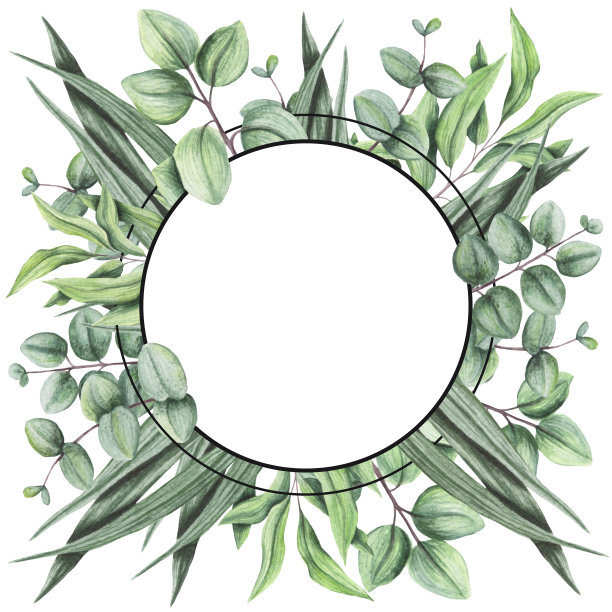 叶子插画素材ID：308234298