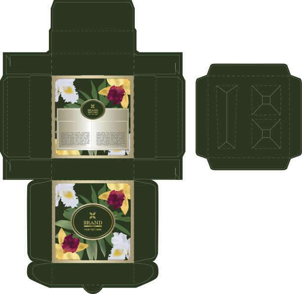 热带概念，盒子设计为一套护肤产品用模切托盘模板为化妆品容器。图片下载