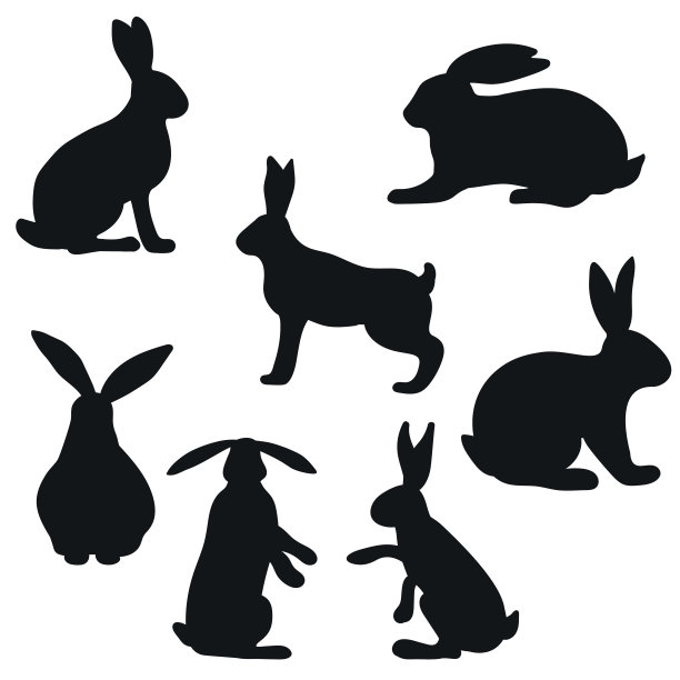 兔子和兔子，矢量剪影的集合。图片下载