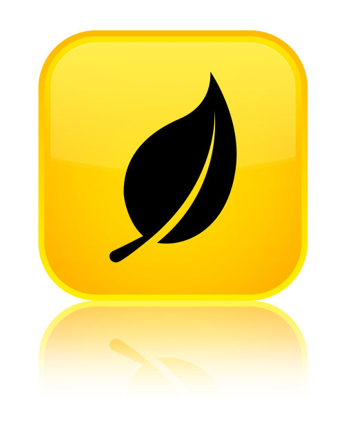 叶子图标专用黄色方形按钮图片下载