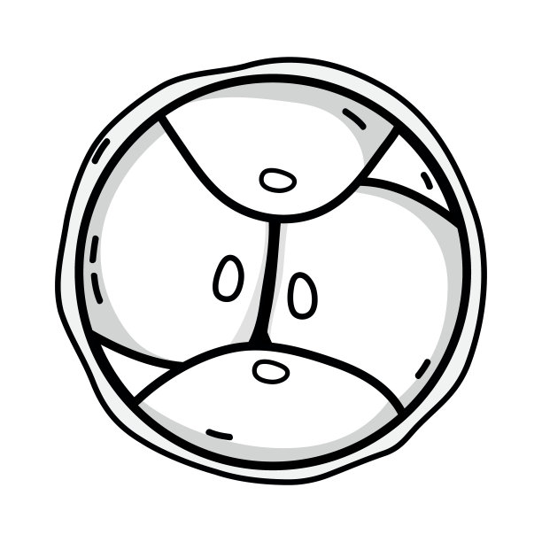 细胞系生物学遗传胚胎细胞分裂图片下载