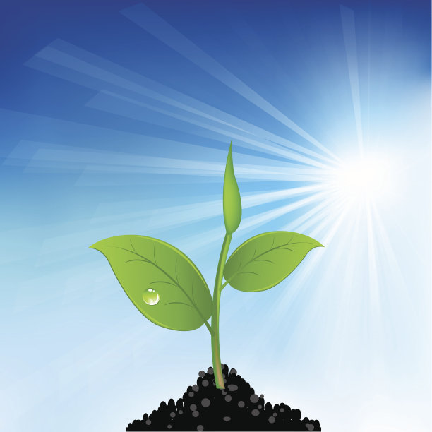 绿色的草和幼小的植物图片下载