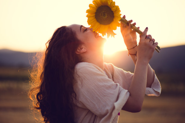 向日葵花图片素材ID：308249454