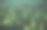 森林图片素材ID：308253966