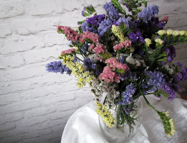 美丽的干花图片下载