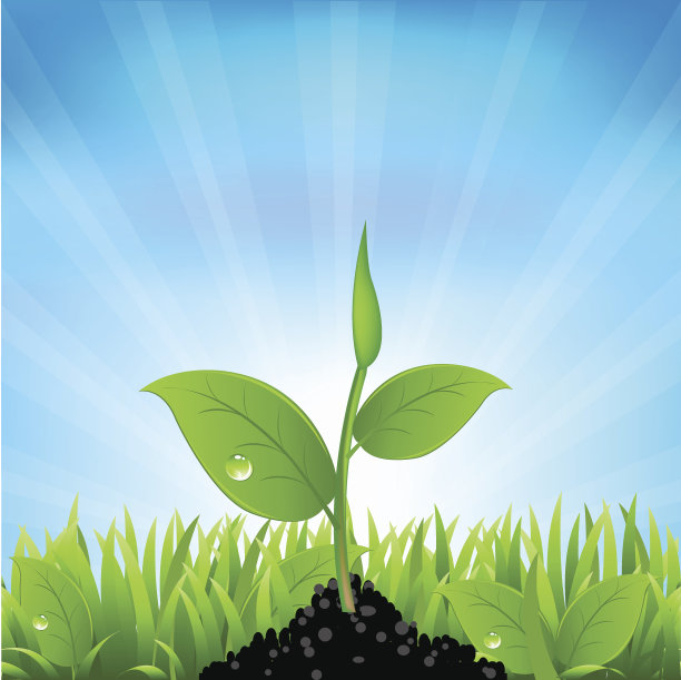 梁和草图片下载