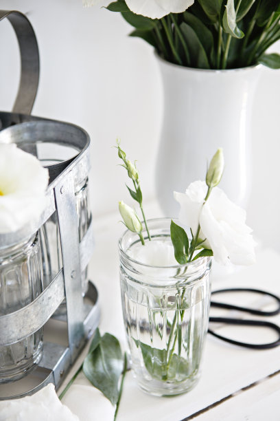 白色的花朵图片下载