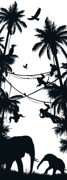 非洲野生动物在自然栖息地的剪影图片下载