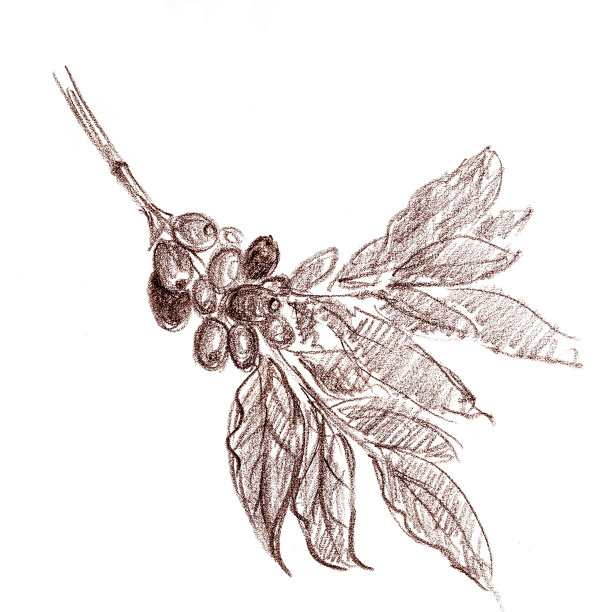 手绘插画素材ID：308280072